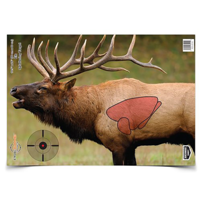Birchwood Casey 35404 Pregame Elk Paper Target 16.50 x 24 3 Per Pkg