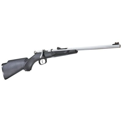 Henry Mini Bolt Action Bolt 22 S/L/LR 16.3" Black/Stainless